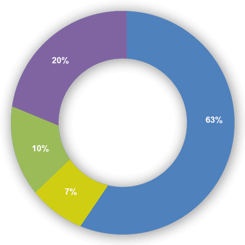 Home Improvement circle Graph